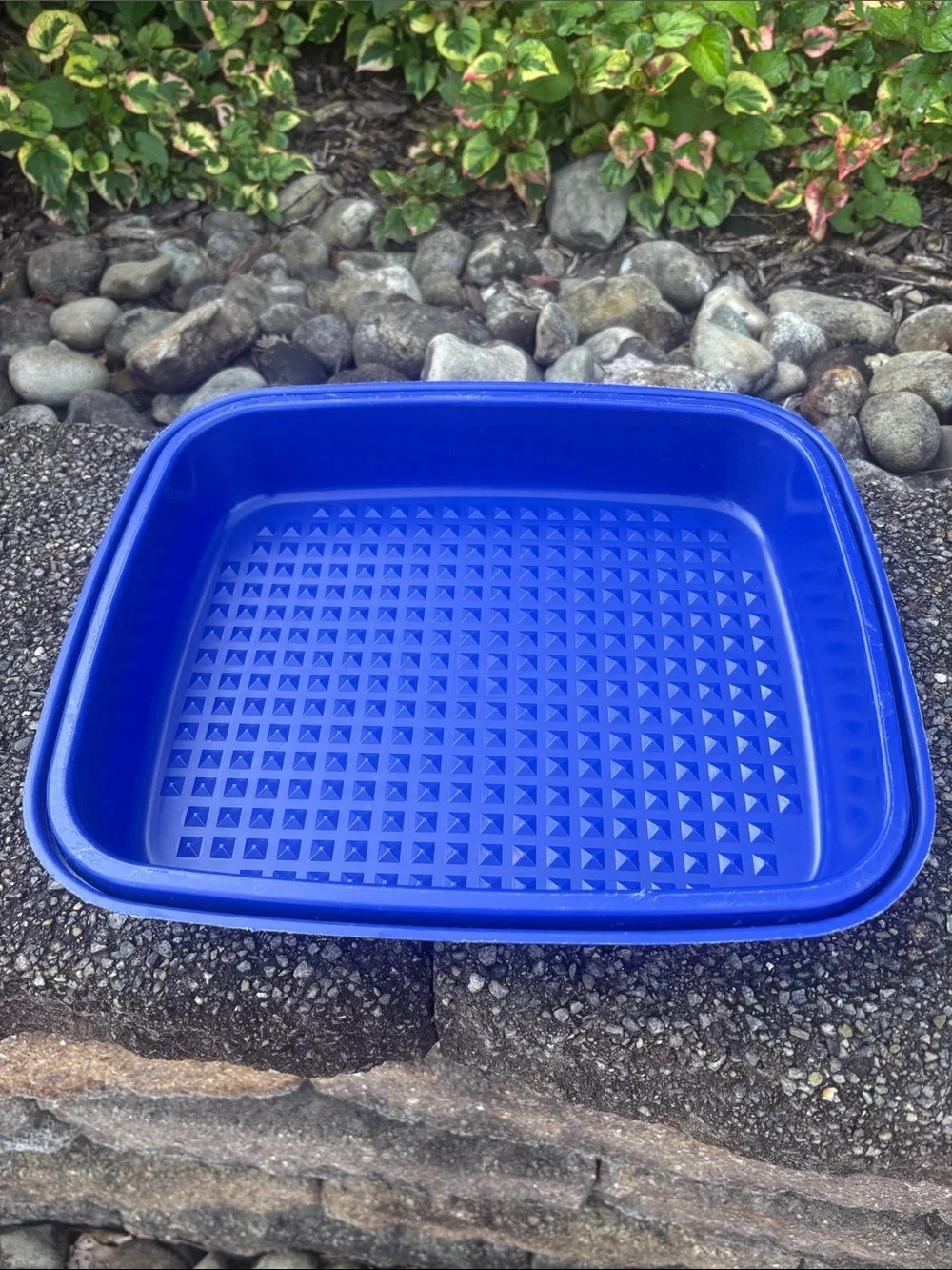 Vintage Tupperware Season-Serve Blue Marinating Container. AKA “The Marinator”